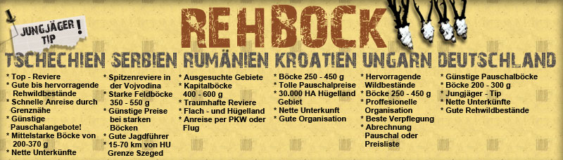 rehbock